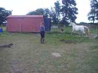 Mario ça s'en va et ça revient(11/07/09)