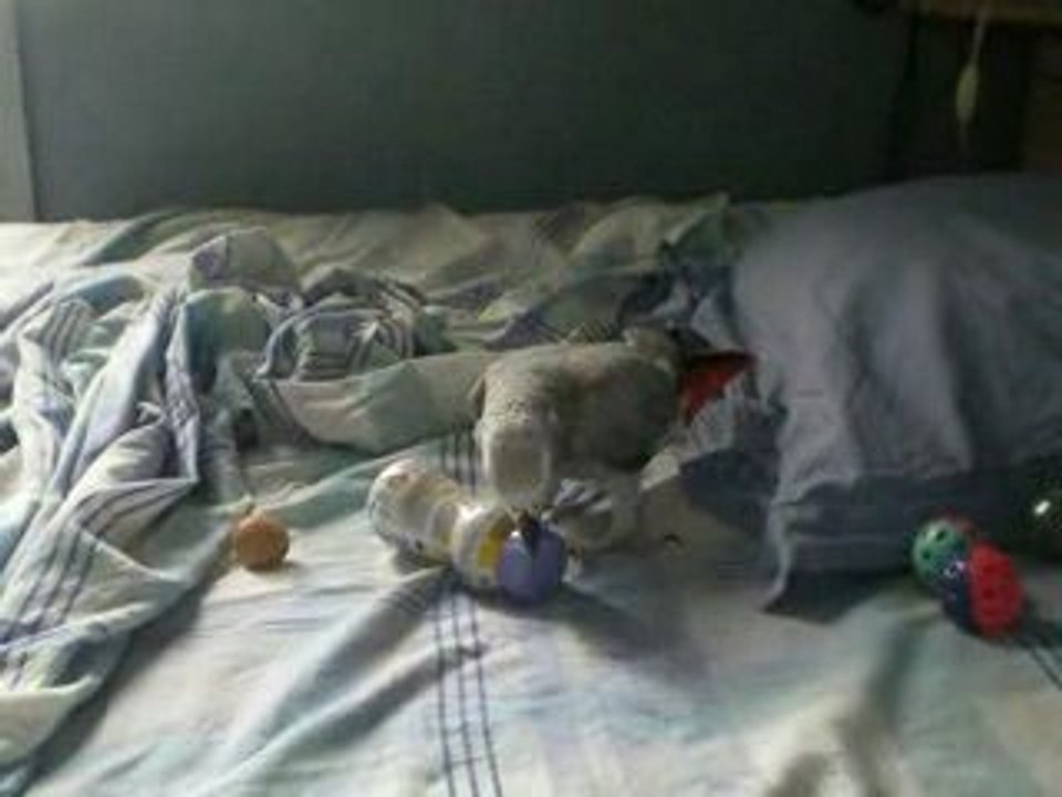 Pesy et sa bouteille