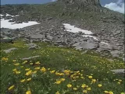 gidiyorum yaylaya-gökhan birben-kavrun.tr.gg