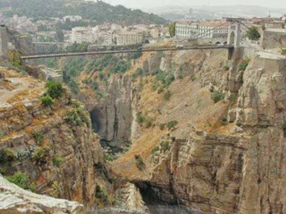 Algérie United !