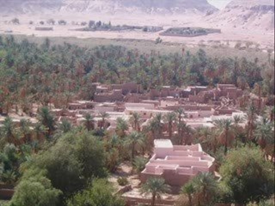 La palmeraie de Beni Abbes (Bechar)