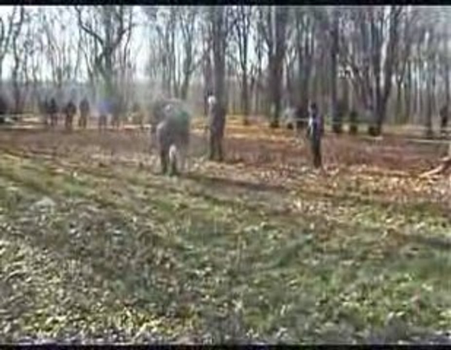 Габар-кадыр собака поединок