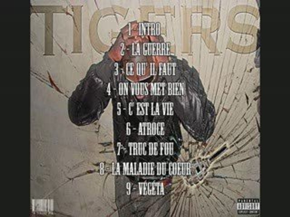 tigers - la guerre