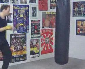 Piero,s Side Kick and Spinning Back Kick