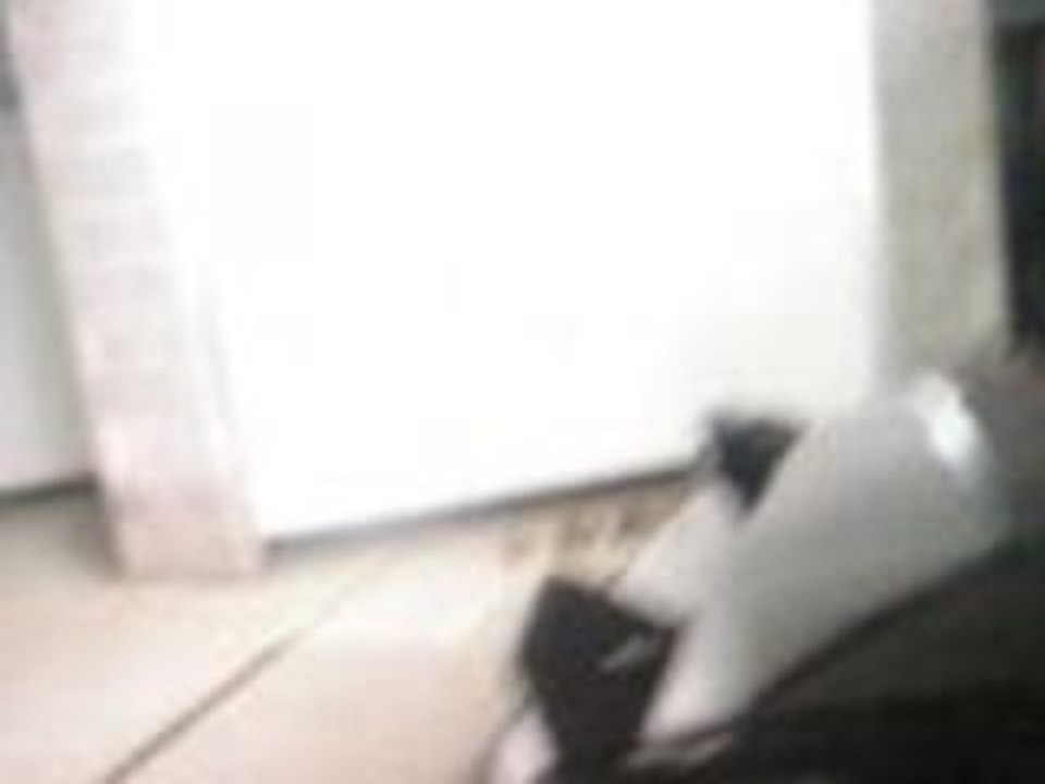 master vac probleme 001