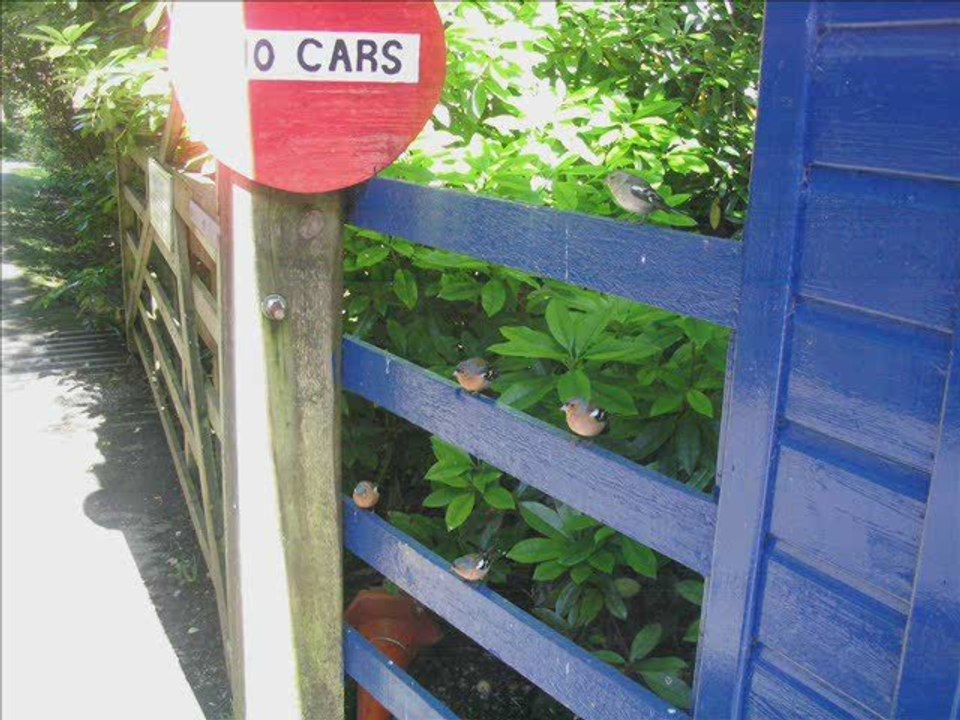 mes vues d ecosse , bon voyage with us :)