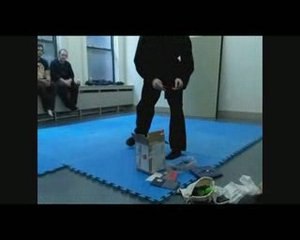 Togakure Ryu Ninjutsu Senban Shuriken