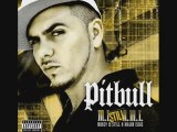 Pitbull feat. Lil Jon _305 Anthem