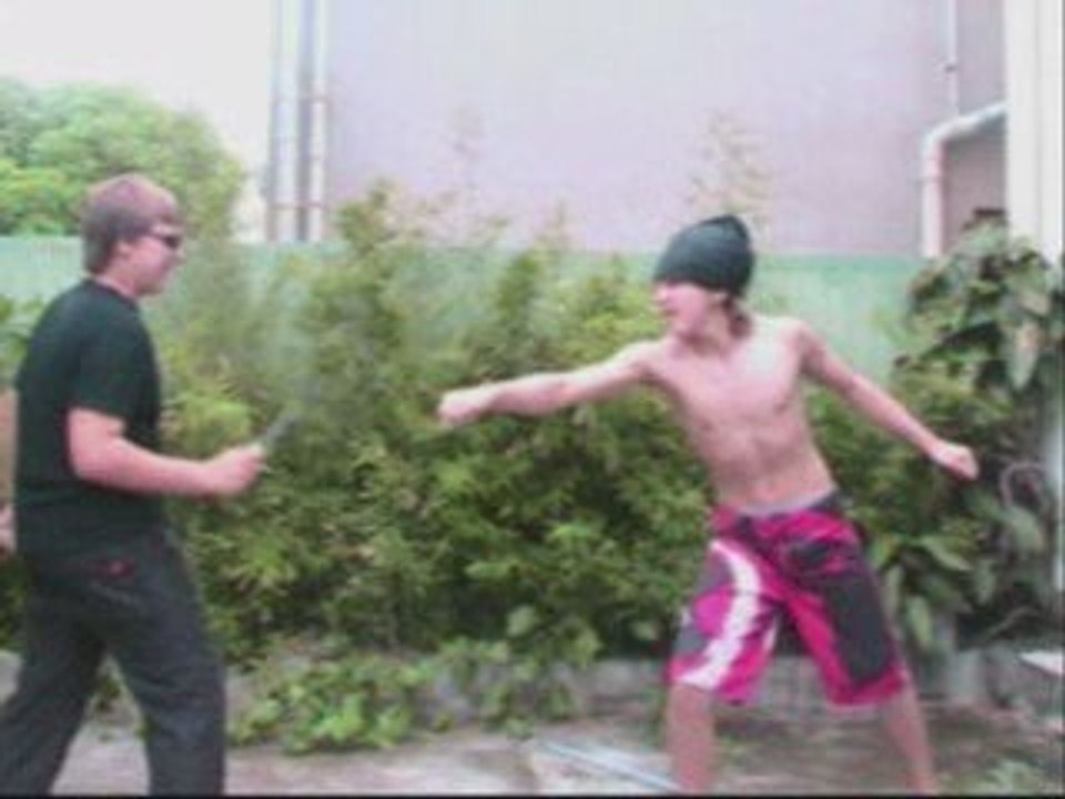 un ninja attaque !!! 2 le retour du ninja