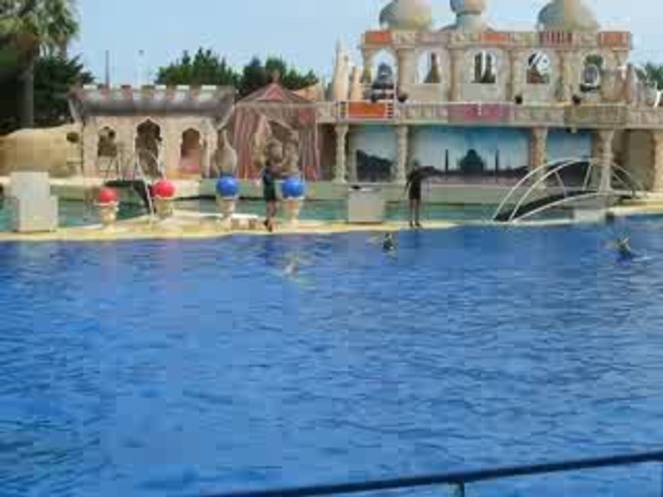 Les dauphins au Marineland d'Antibes 3