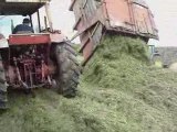 ensilage herbe