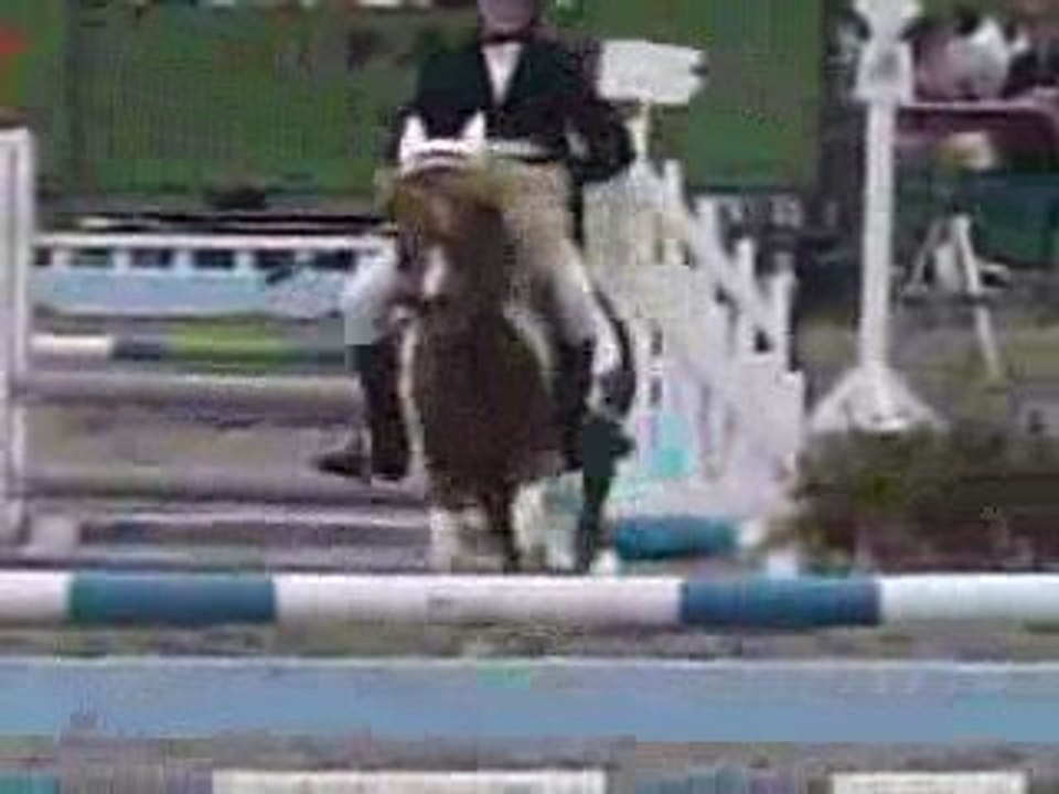 cso poon lamotte 2009