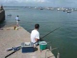 Pointe Saint Gildas : pêcheurs