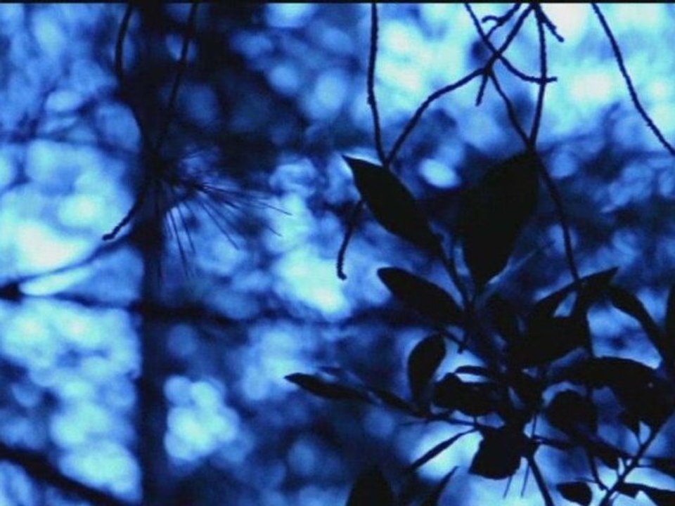 film d'horreur