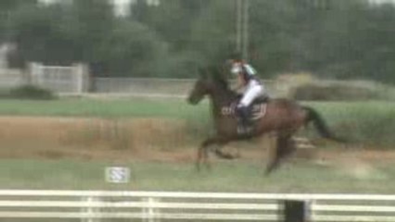 video n°1 cross lattes Numa