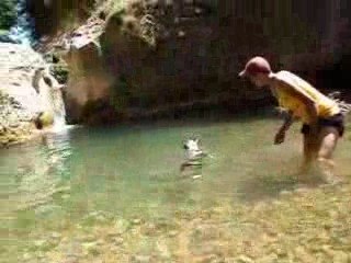 News Facéties LOLO.AVI