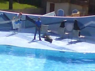 LET'S GOO AU ZOO DES PALMYRES