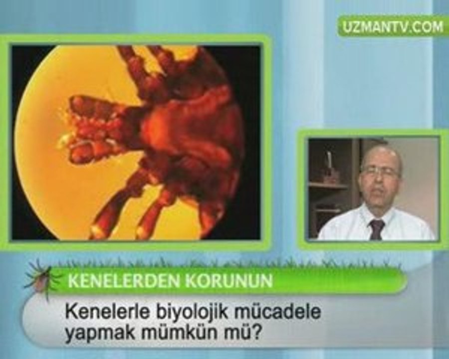 Sağlık