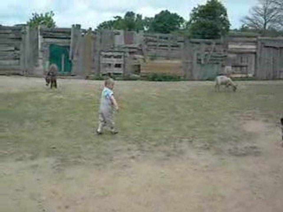 DSCN0741