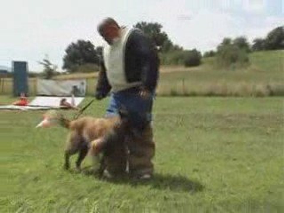 DUNCAN sur PAPA
