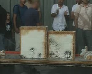 /Users/Helene/Desktop/Maquette en sucre