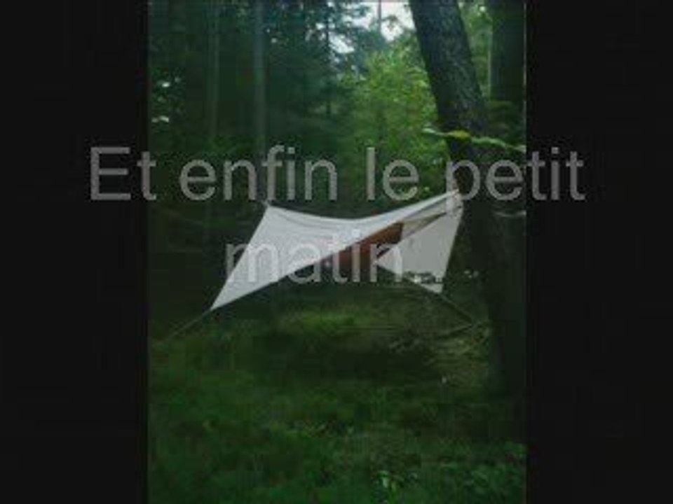 Bivouac Forêt