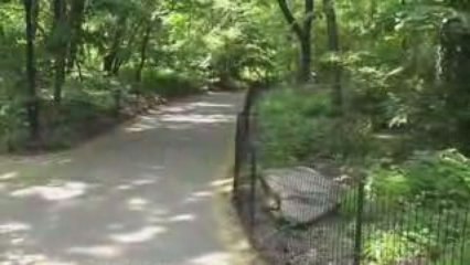 New York Central Park