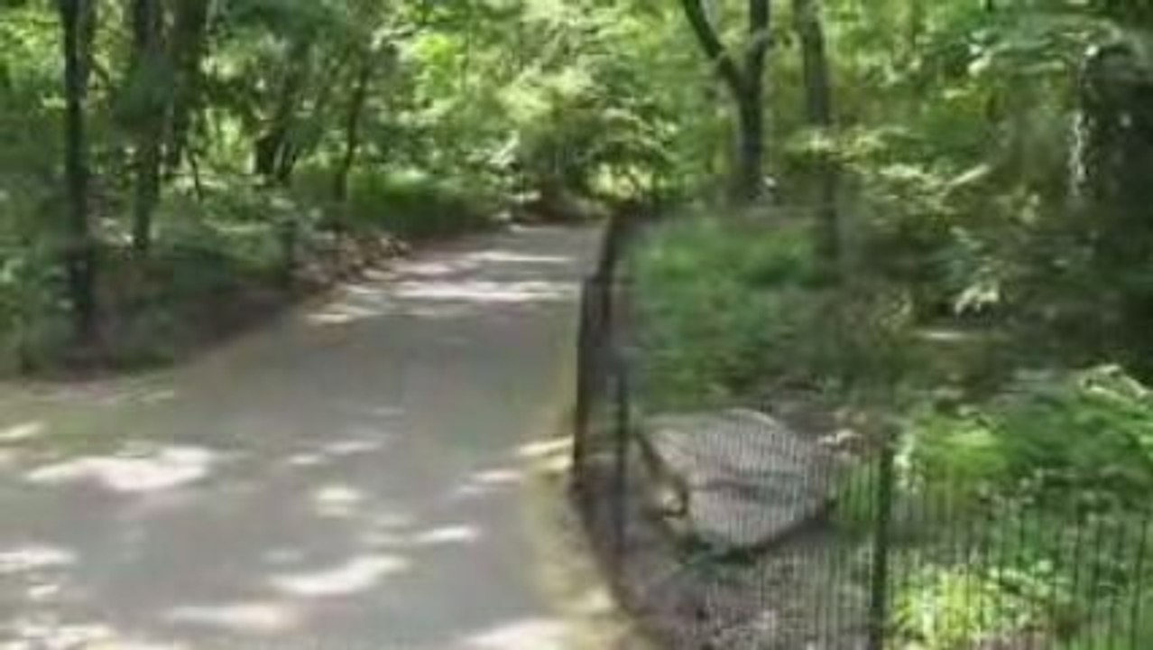 New York Central Park