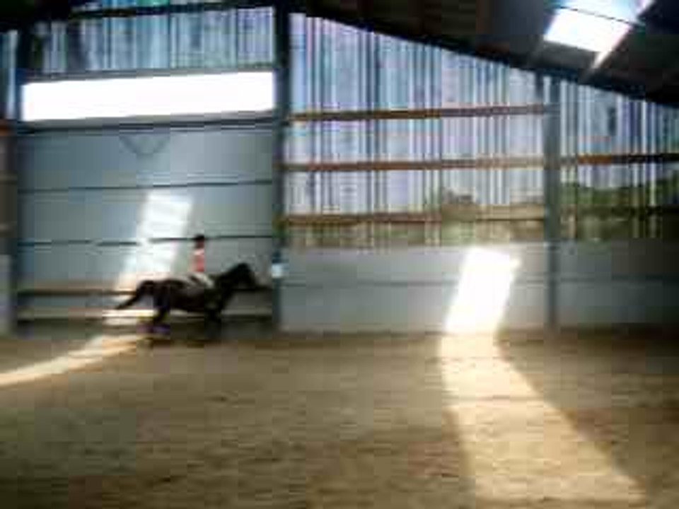 re mini double