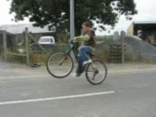 mon beau willing adorer de tiflo