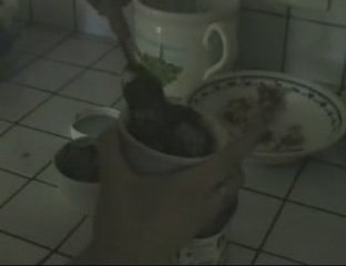 Gastronomie Belge