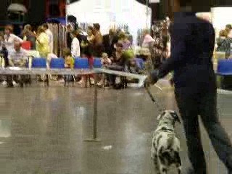 expo douai