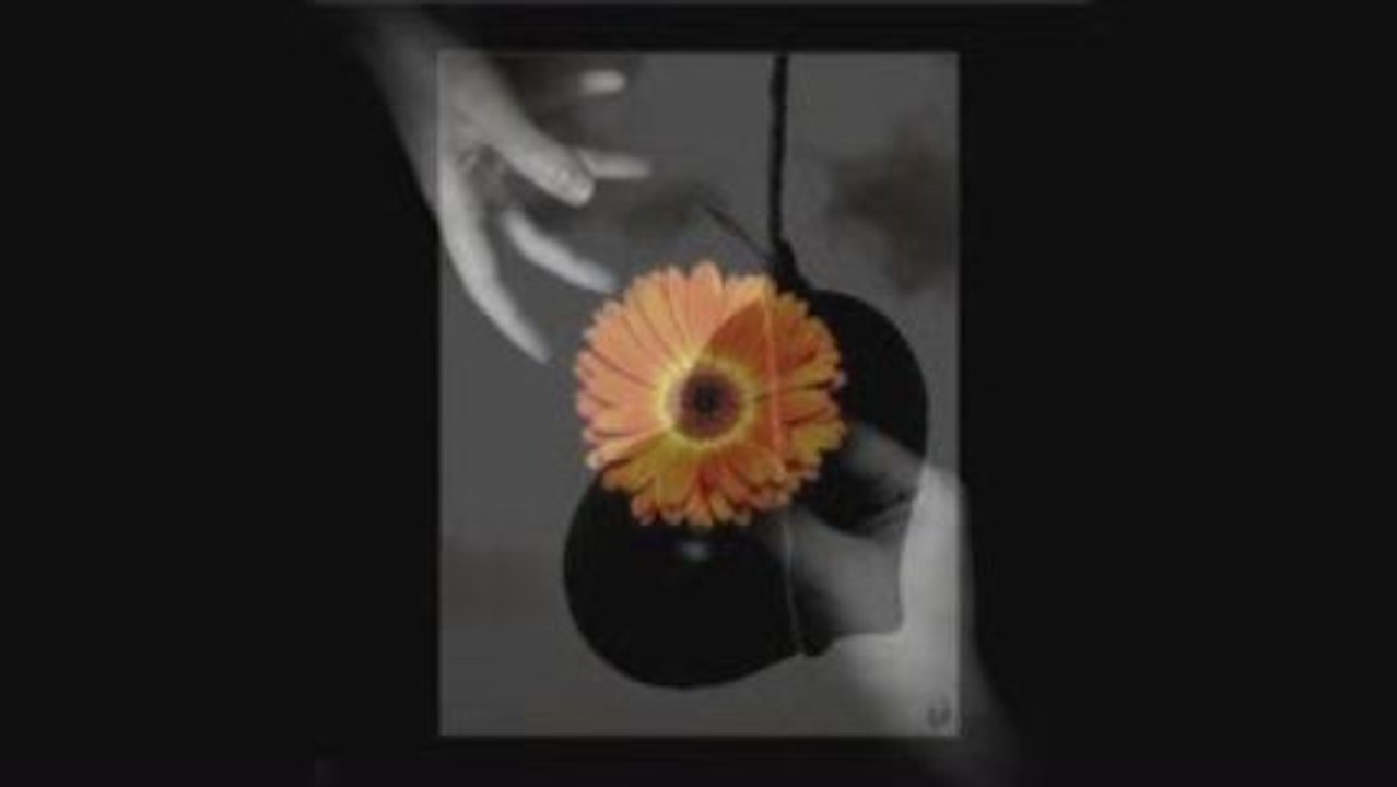 FUNDA ARAR "yak gel"