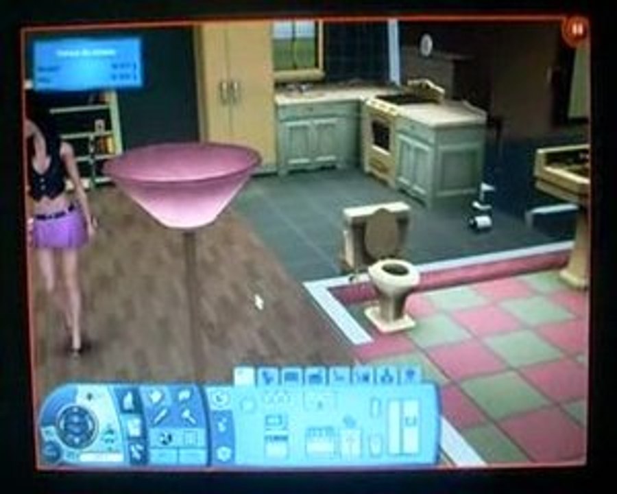Les Sims 3, deuxième Partie: emménager.