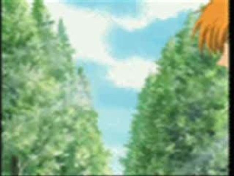 fruits basket: kyo et tohru