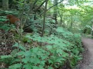 au detour d'un chemin...