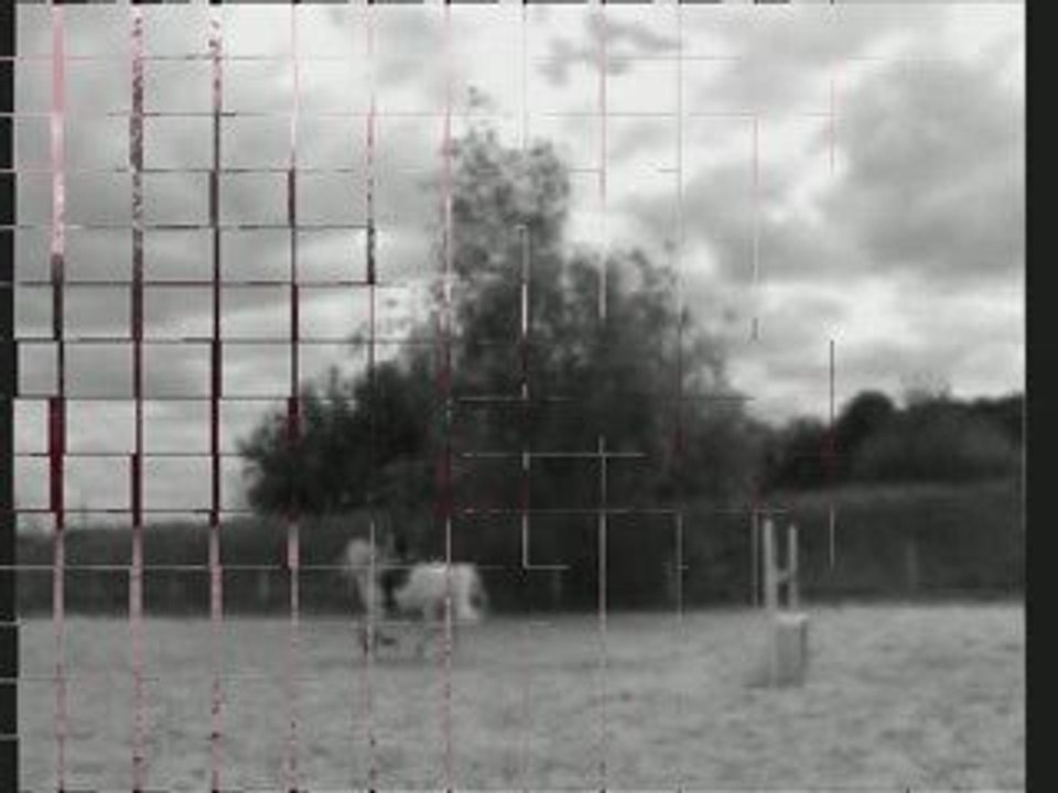 kippling juillet 09