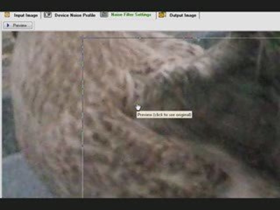 Supprimer le bruit numérique avec Neat-Image