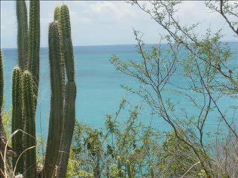 vacances d'été 2009