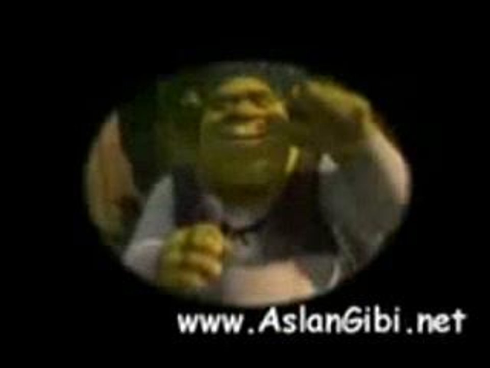 Turk_Shrek