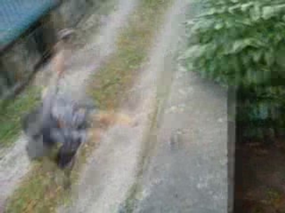 parkour69210