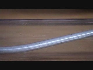 experience du riz et autres...