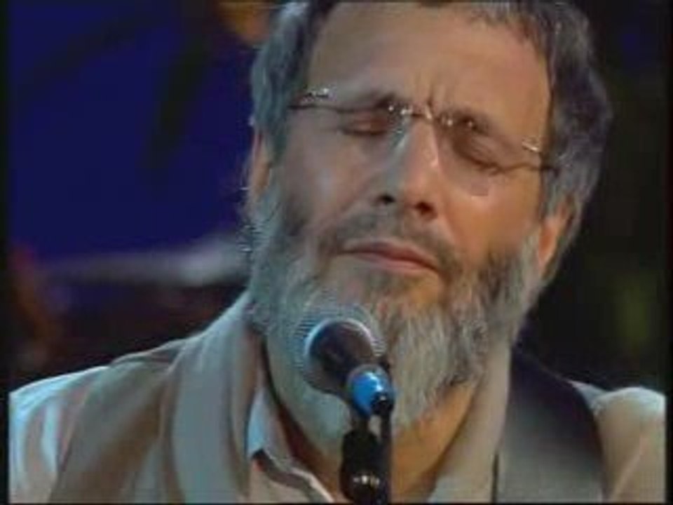 Yusuf Islam - Father & Son-live