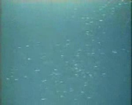 UFOs -Des centaines d'ovnis filmés (Mexico.11-04-2005)