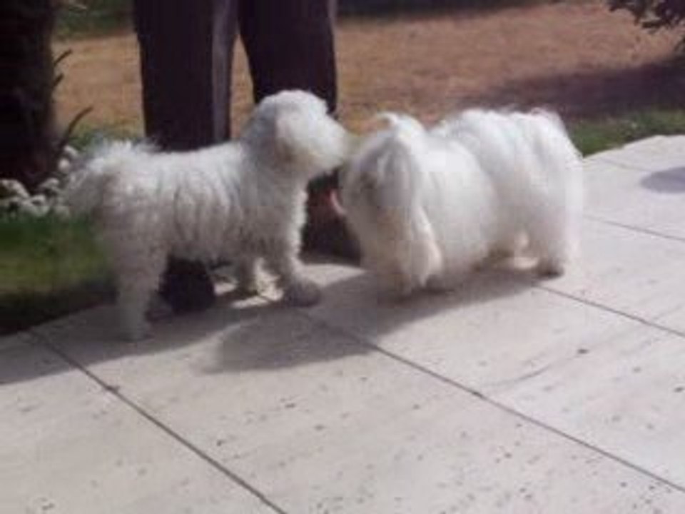 Cachou et Blanche 003