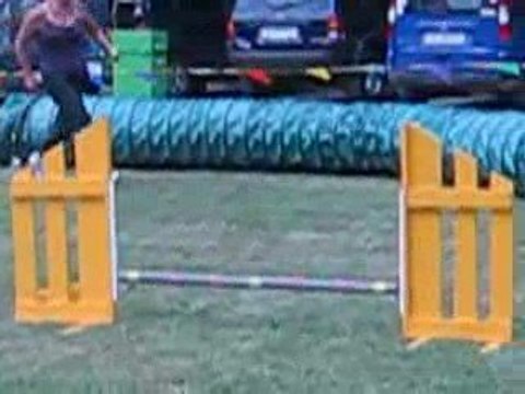 Puce - 1er concours agility