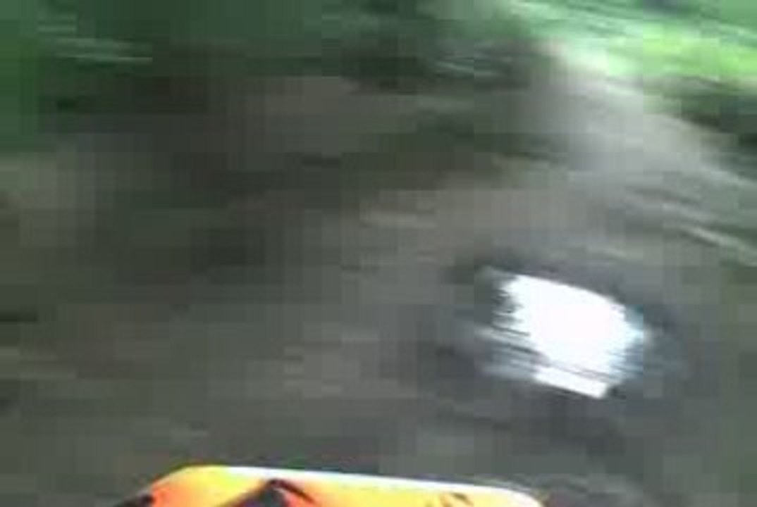 Enduro Forêt La Londe