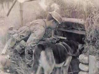 Tunnel Rats of Vietnam