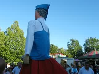 Ducasse du canon 2009