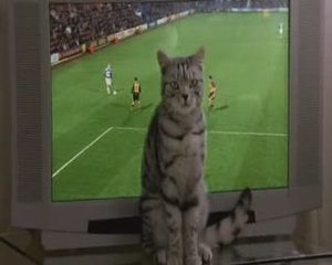 Parodie Pub Whiskas